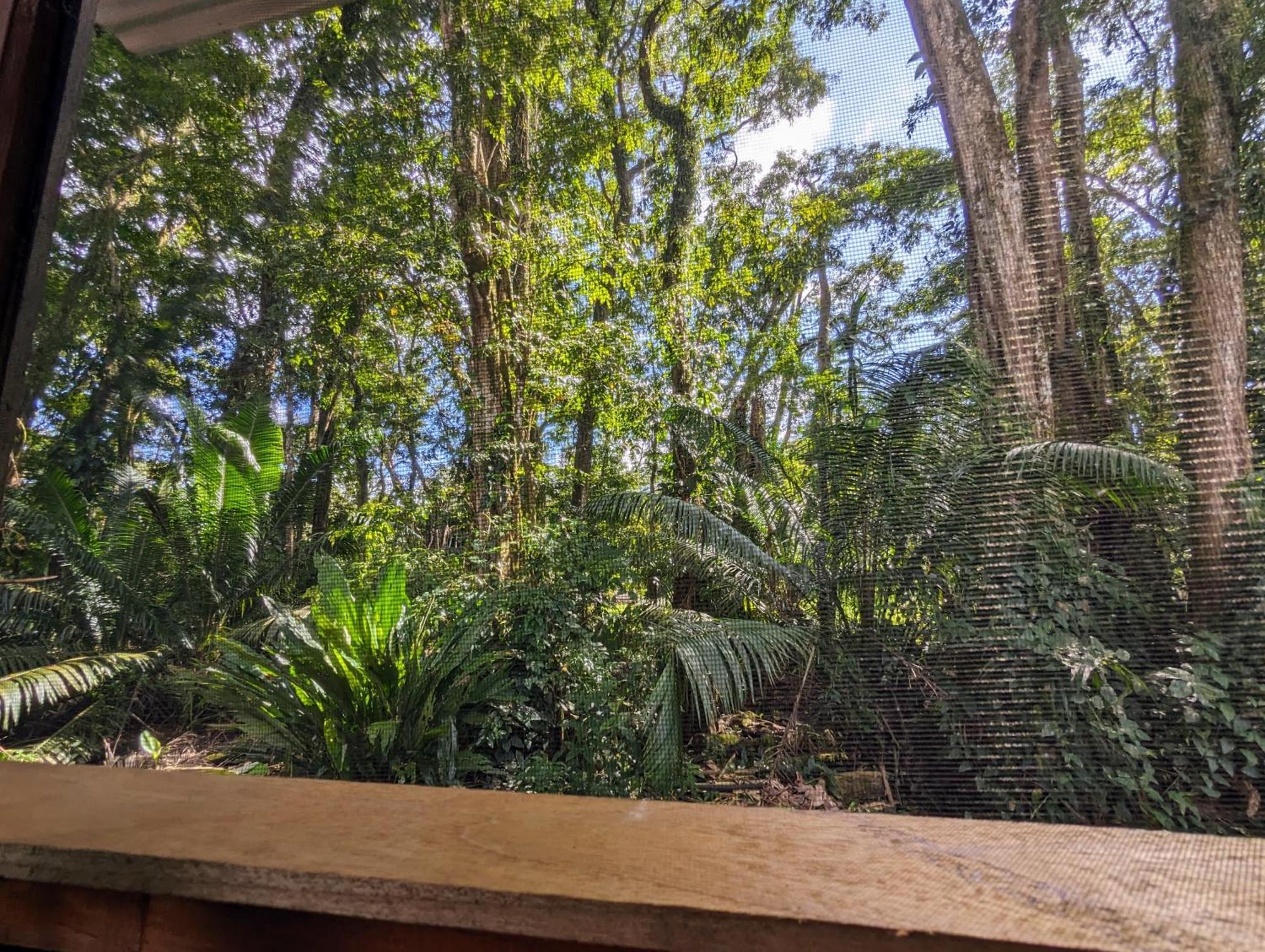 Arboura Eco Cabins Увита Екстериор снимка