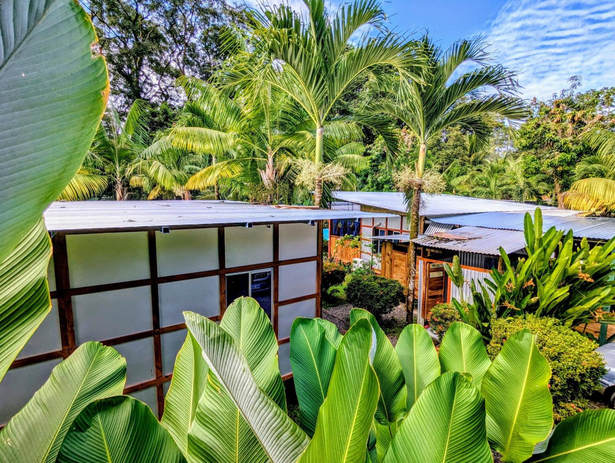 Arboura Eco Cabins Увита Екстериор снимка